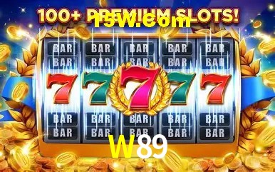 Sistemas de Segurança W89